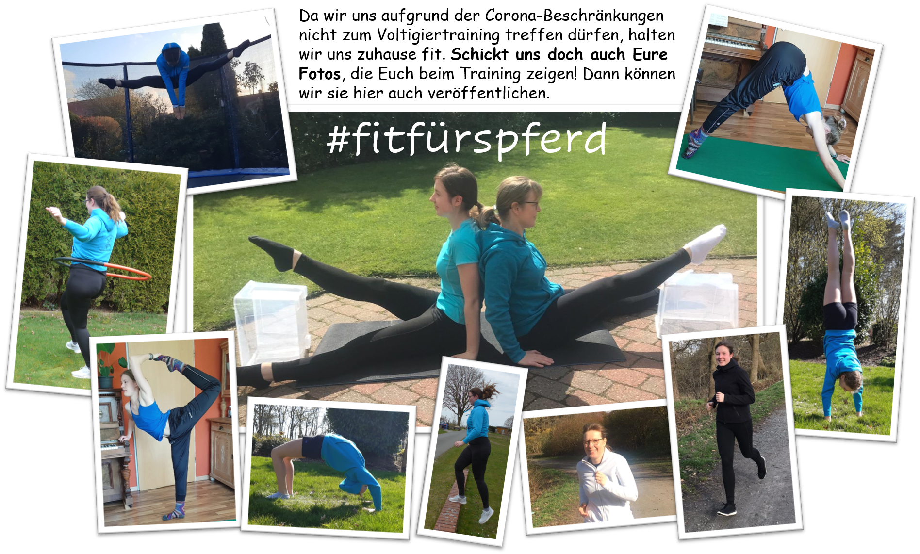 Fitfrspferd