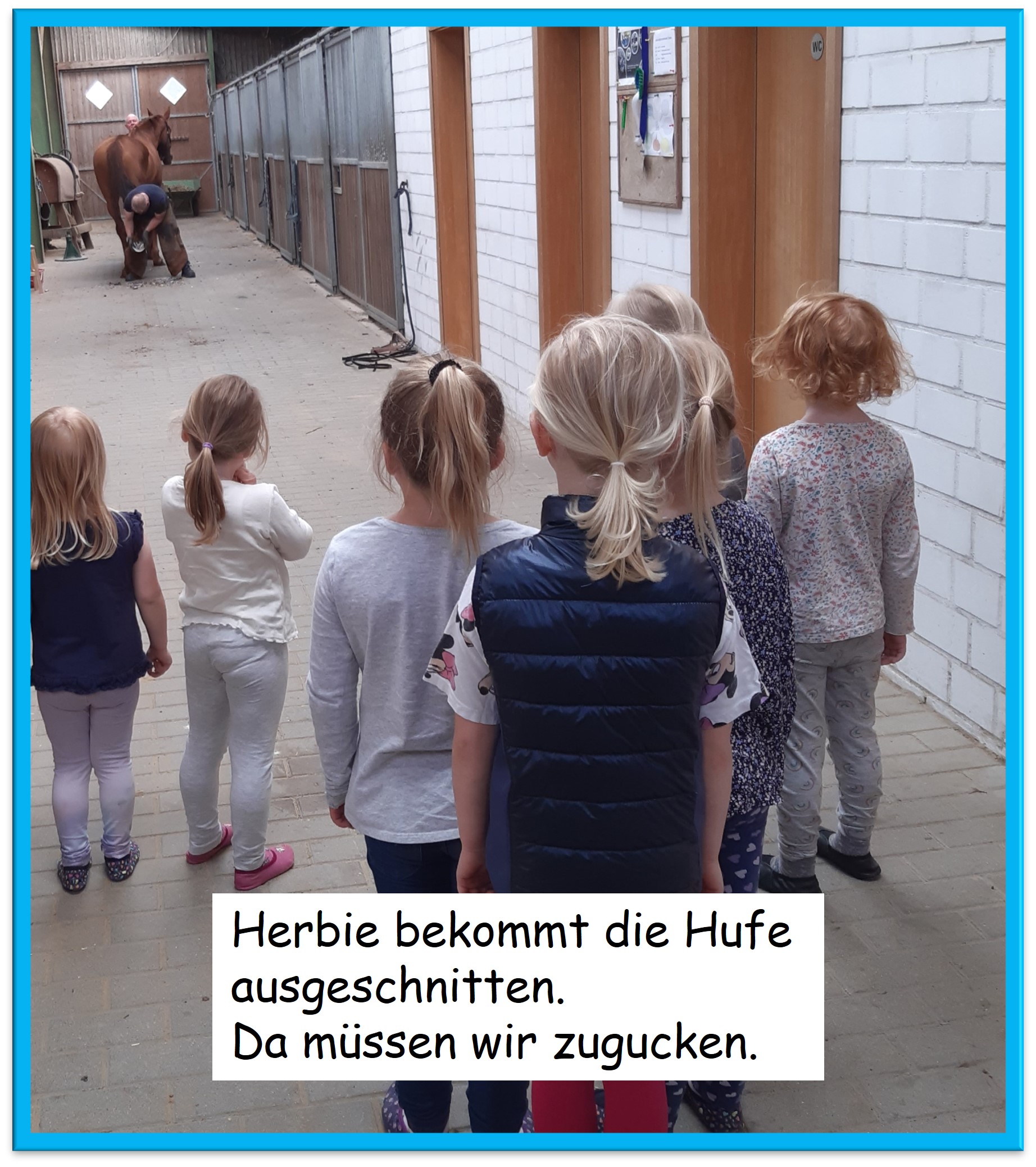 Hufpflege